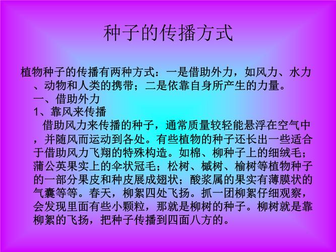 植物是怎样传播种子的? 植物是怎样传播种子的方法有哪些!