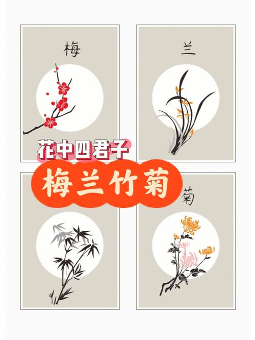 花中四君子指什么? 花中四君子指什么花!