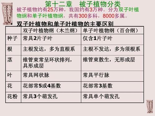 被子植物有哪些? 被子植物有哪些代表植物!