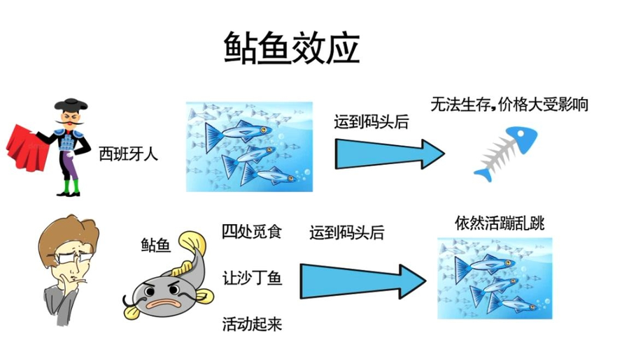 鲶鱼效应? 鲶鱼效应是什么意思啊!