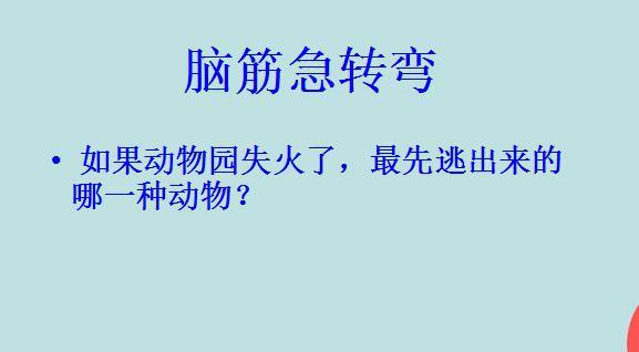 那种动物没有方向感? 哪种动物没有方向感脑筋急转弯!