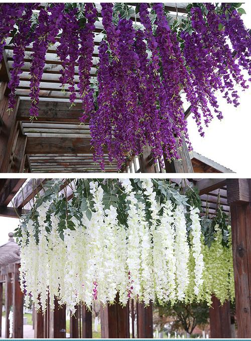 花艺紫藤花如何配其他花? 花艺紫藤花如何配其他花卉!