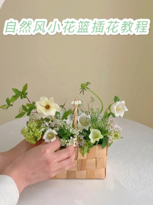 花艺小白如何备花视频教程? 花艺小白如何备花视频教程下载!