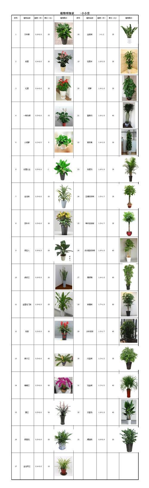 花卉租赁价格怎么收费? 花卉租赁价格表!