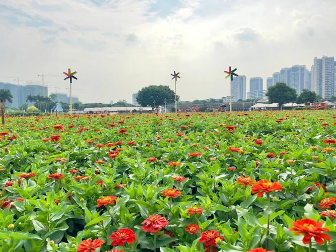 南宁花卉公园美景图片? 南宁花卉公园美景图片大全!