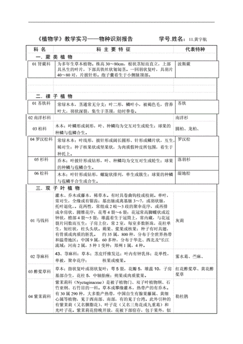 花卉学植物识别报告? 花卉学植物识别报告怎么写!