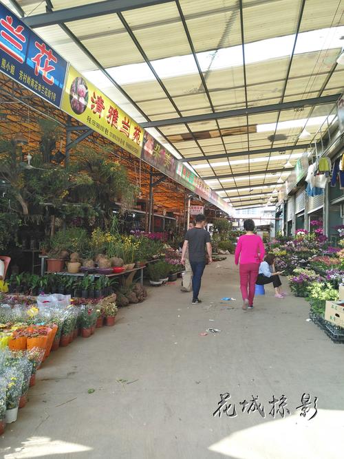 广州花卉市场搬迁? 广州花卉市场搬迁到哪里去了!