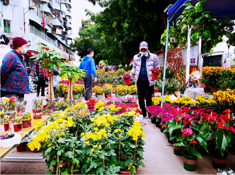 赤坭花卉市场? 赤坭花卉市场地址!