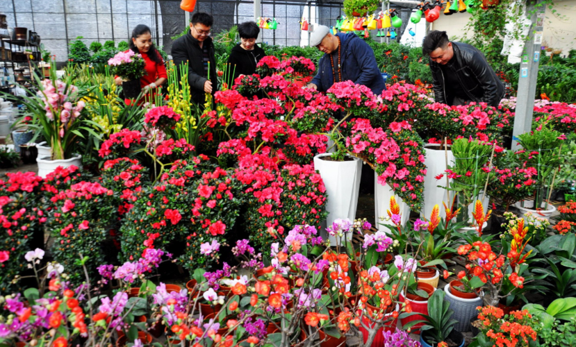 新疆库车花卉市场? 新疆库车花卉市场地址!