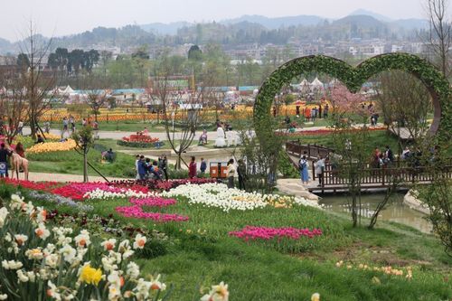 西安金海花卉市场? 西安金海花卉市场地址!