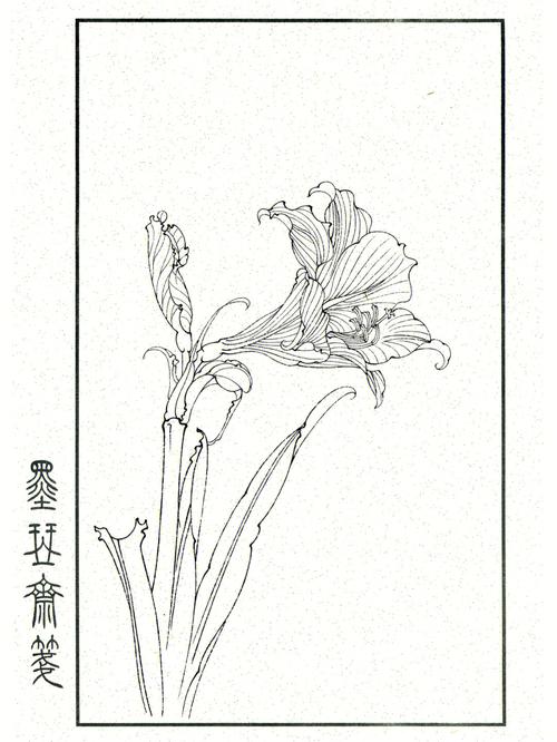 白描花卉图? 白描花卉图片!