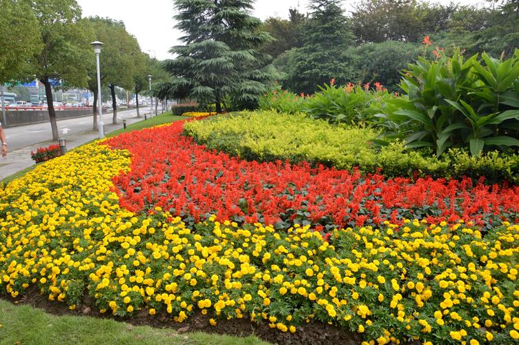 美景花卉租赁价格咨询? 景美花卉市场!