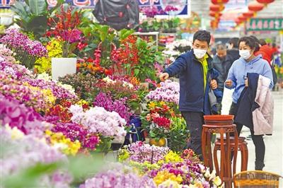 银川花卉市场图片? 银川花卉市场图片高清!