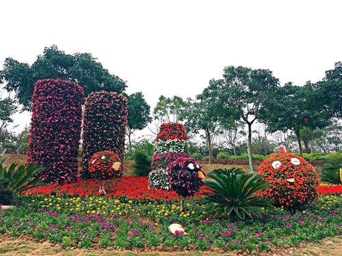 花卉造景的区别? 花卉造景的区别与联系!