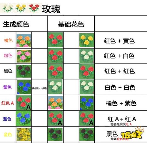 动森花卉排列方式? 动森花卉种植排列!