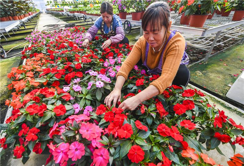 广州招花卉种植工人? 广州招花卉种植工人信息!