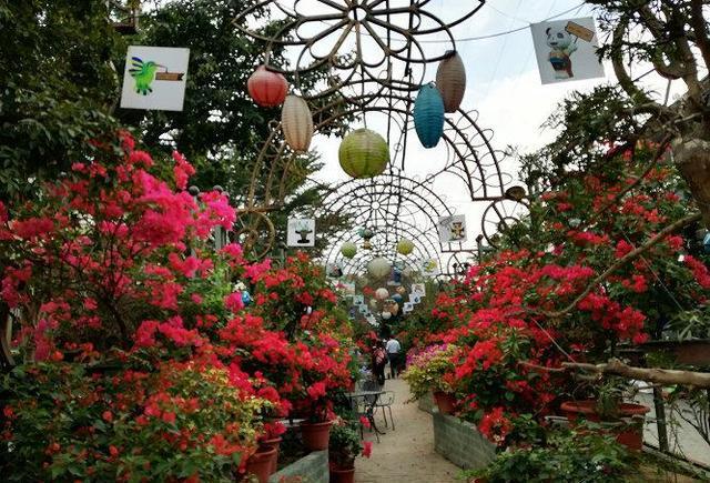 深圳龙岗龙城花卉世界? 深圳龙岗龙城花卉世界在哪里!