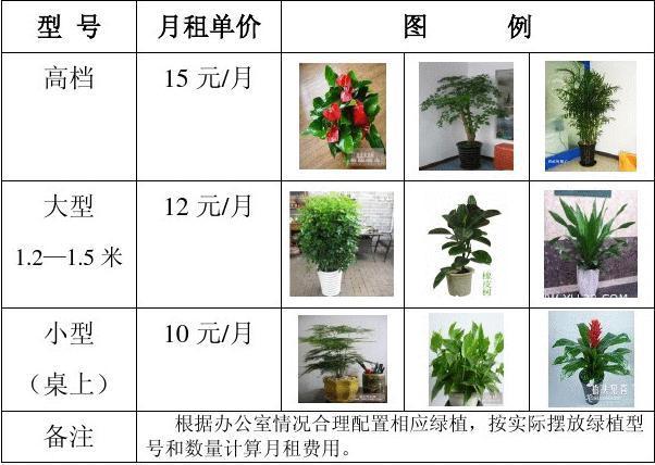 花卉植物租摆报价? 花卉植物租摆报价清单!