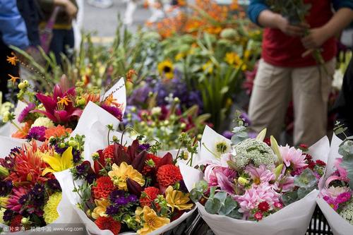 遂宁花卉交易市场? 遂宁花卉交易市场在哪里!