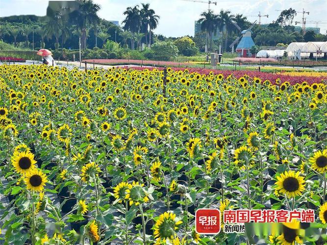 南宁花卉公园体育公园? 南宁花卉公园体育公园在哪里?!