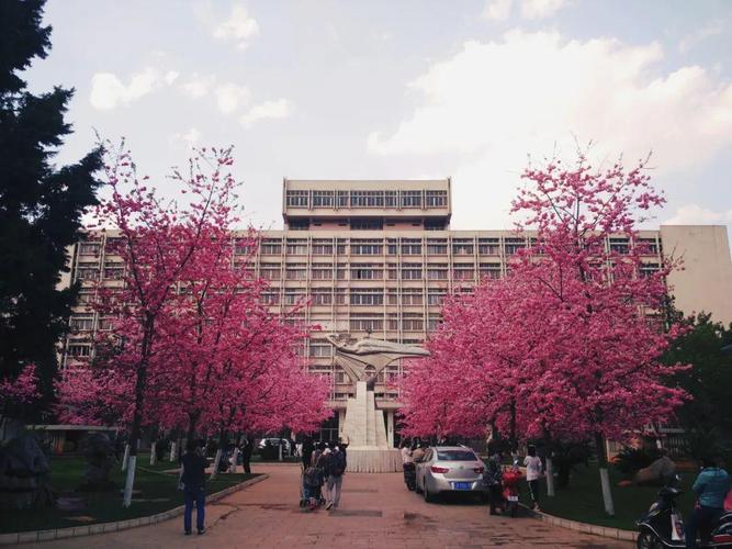 花卉设计有关大学? 花卉设计专业的大学!