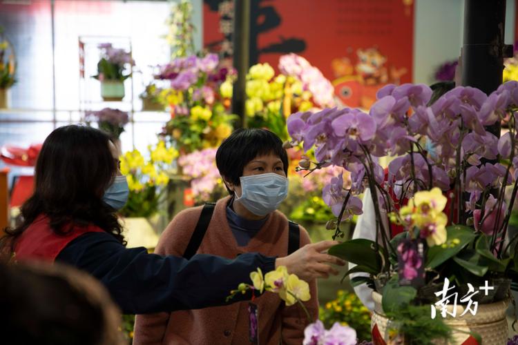 岭南花卉市场疫情? 岭南花卉市场疫情最新消息!