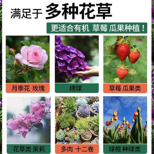 花卉怎样用磷肥? 花卉怎样用磷肥施肥!