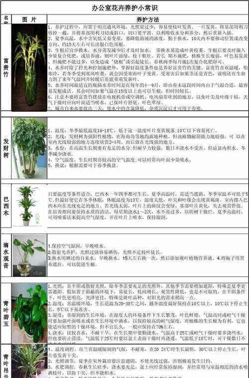 绿植花卉养护标准? 绿植花卉养护标准最新!