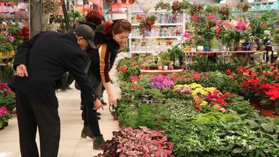 孕妇逛花卉市场? 孕妇逛花卉市场有影响吗!