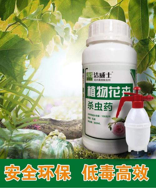 家用花卉用什么药? 家用花卉用什么药杀虫!