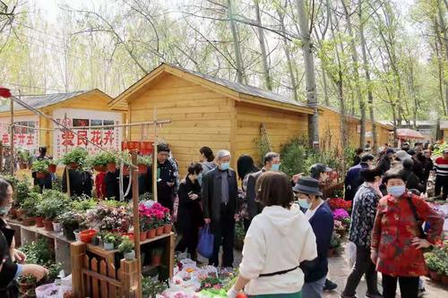 曹庄花卉提升改造? 曹庄花卉提升改造项目!