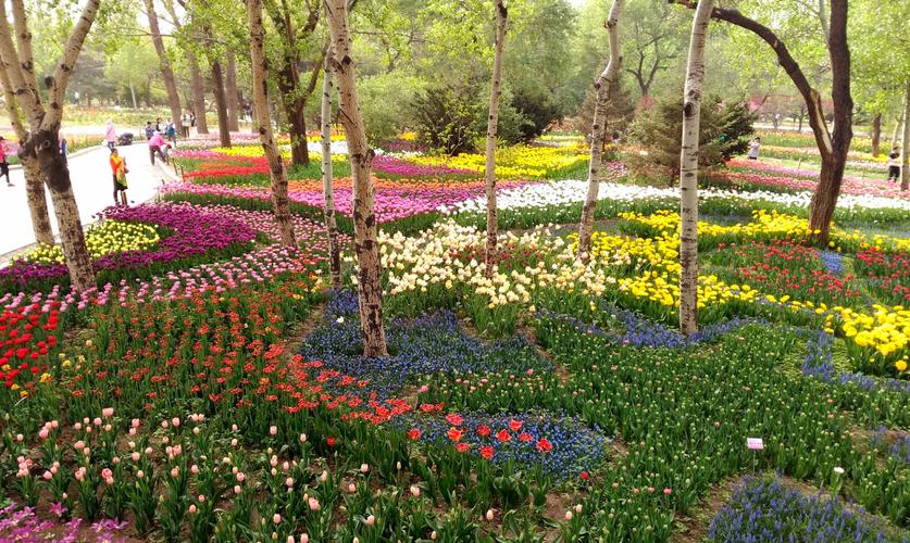 植物与花卉公园旅游? 植物园花卉园!