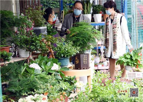 荆州苗木花卉? 荆州苗木花卉批发市场!