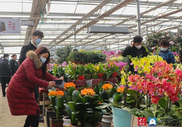 泰安花卉市场租赁? 泰安花卉市场租赁电话!