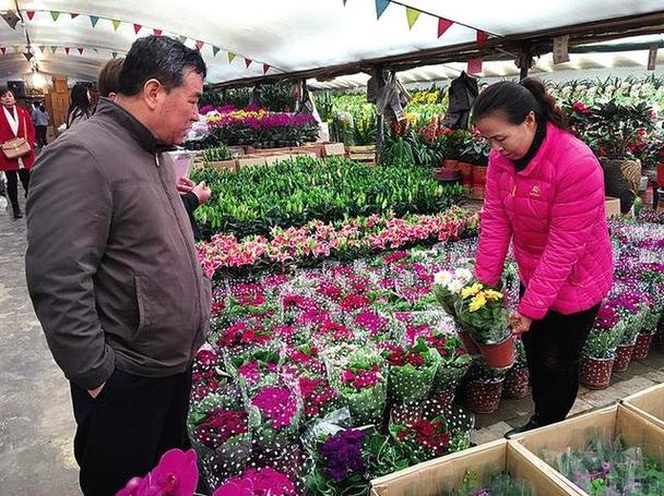 西安苗木花卉? 西安苗木花卉市场!