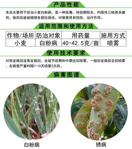 花卉锈病用什么药? 花卉锈病用什么药效果最好!