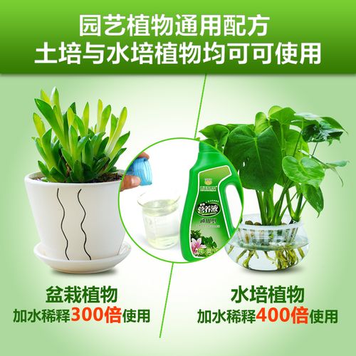 水培花卉施用什么肥料? 水培花卉施用什么肥料最好!