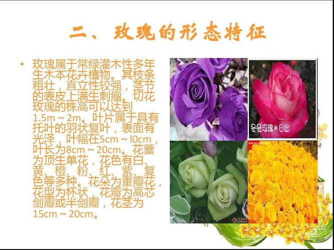 花卉的概念是什么? 花卉的概念是什么意思!