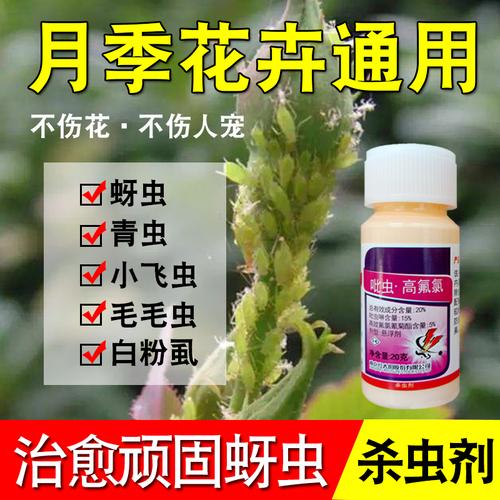 花卉蚜虫用什么药? 花卉蚜虫用什么药最有效!