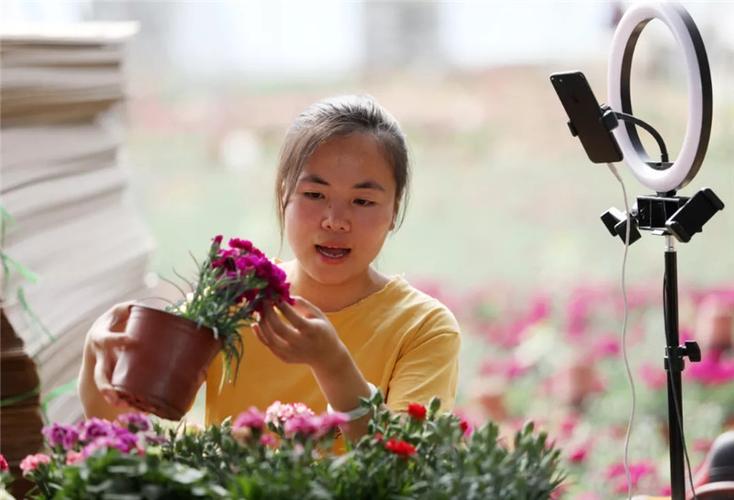 漂亮花卉基地直播? 漂亮花卉基地直播视频!