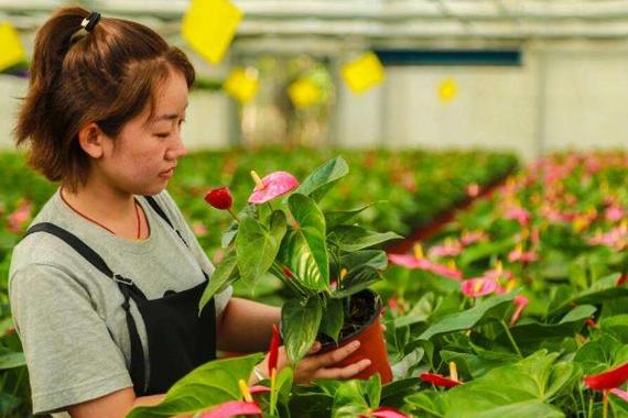 杭州花卉种植培训学校? 杭州花卉种植培训学校有哪些!