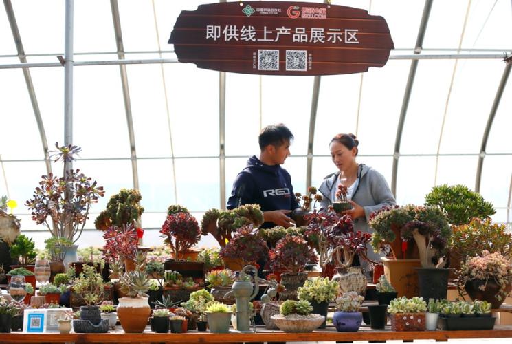 即墨灵山花卉基地? 即墨灵山花卉基地电话!