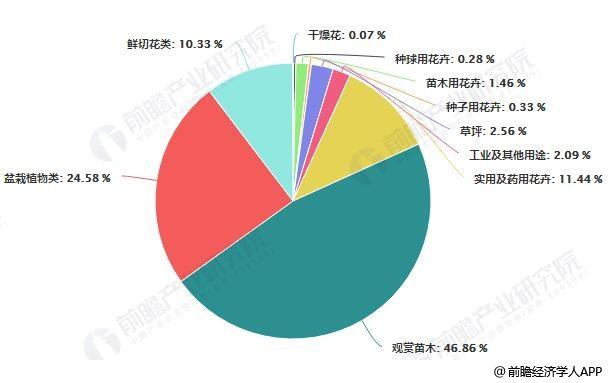 花卉消费市场情况? 花卉消费市场情况分析!