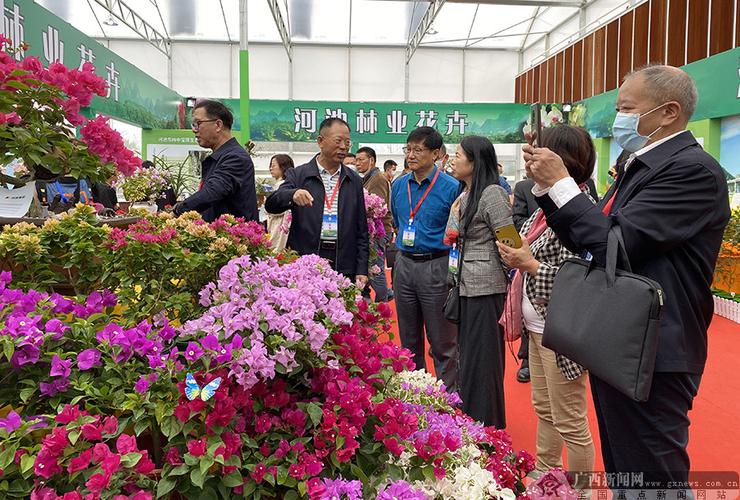 在广西消费花卉名? 在广西消费打一花卉!