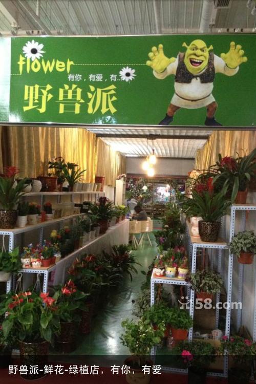 开个绿植花卉店? 开个绿植花卉店怎么样!