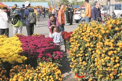 东莞花卉市场招聘? 东莞市花卉市场!