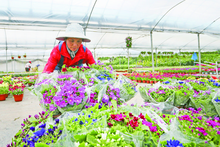 花卉生产需要哪些设施? 花卉生产需要哪些设施呢!