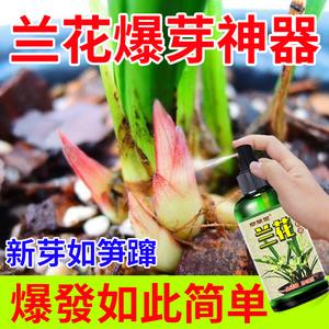 花卉暴芽用什么? 花卉暴芽用什么肥料!