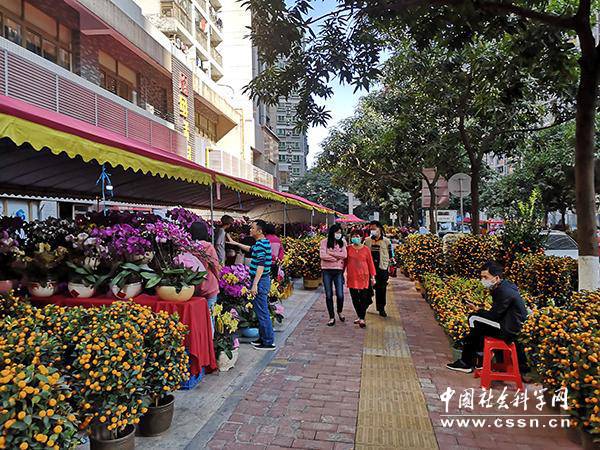 广州花卉市场路线? 广州花卉市场搬到了哪里!