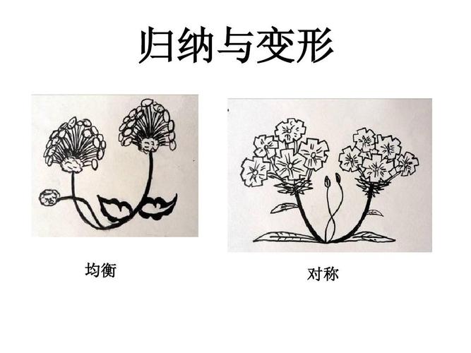 花卉图案变化ppt? 花卉图案变化形式!